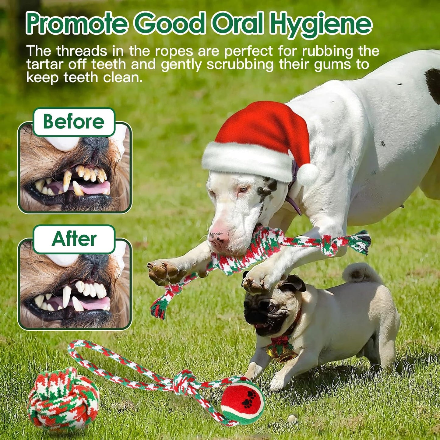 5Pcs Christmas Dog Rope Chew Toys Dog Interactive Toys Set for Puppy Small Medium Aggressive Chewers Dogs Training Teething Playing | Purrfect Pet Kingdom