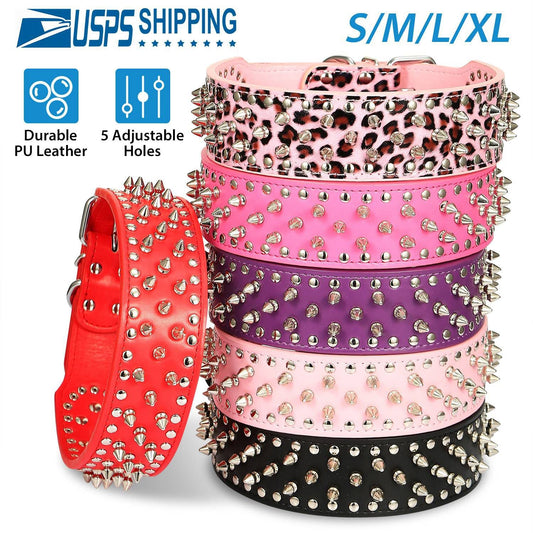 GBruno Dog Leather Collar Spiked | Purrfect Pet Kingdom