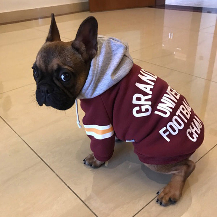 Pet sweater - Majestic Pet Kingdom