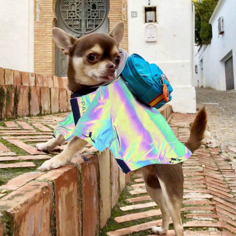 Microcrystalline reflective dog clothes - Majestic Pet Kingdom