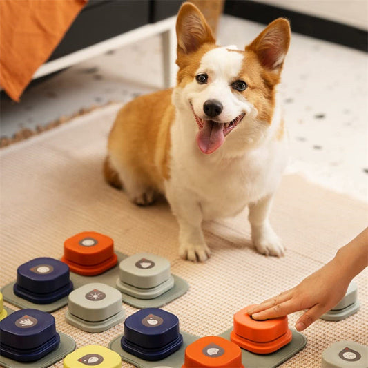 Dog Talking Buttons Recordable Voice Training Buzzers 4-Pack
