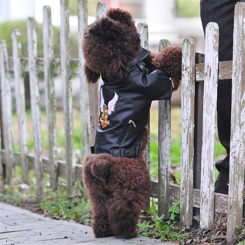 Pet Small Dog Sticker Embroidered Eagle Leather Jacket - Majestic Pet Kingdom