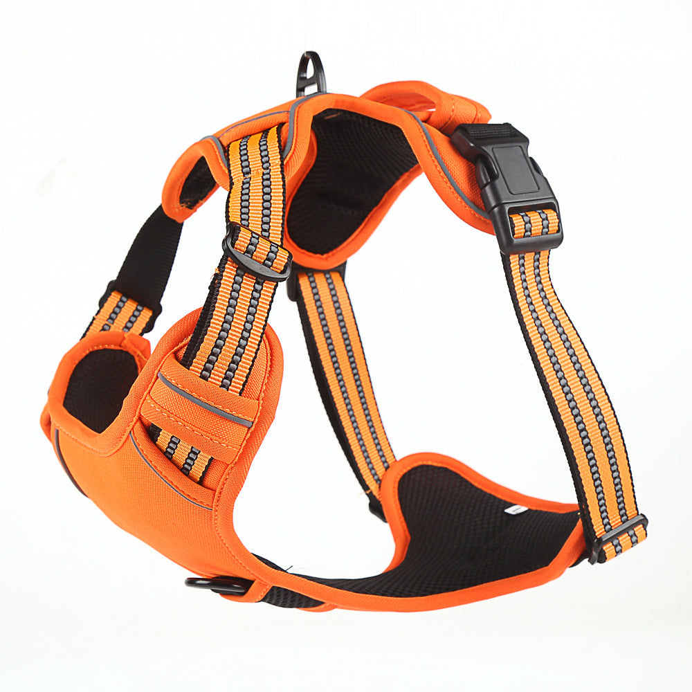 Pet Product - Premium Pet Accessory