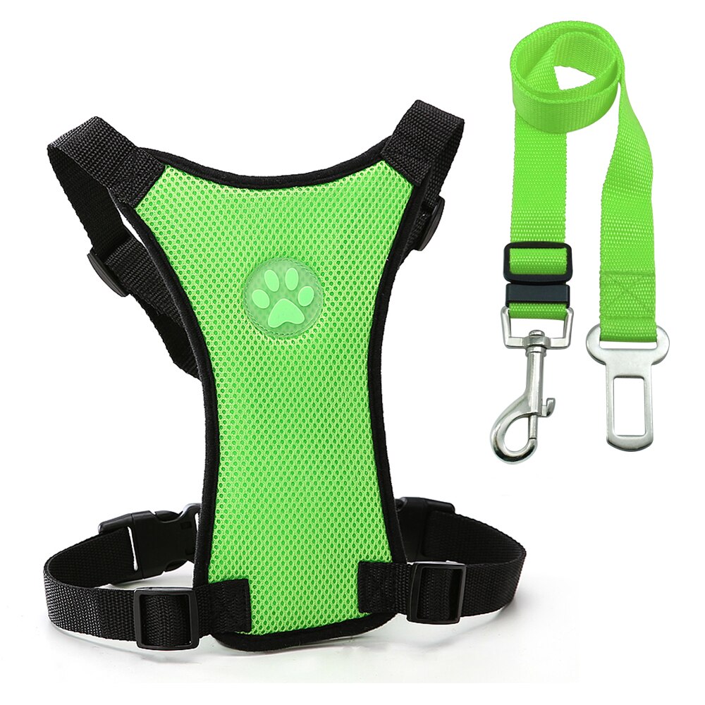 Luxury Pet Essentials - Purrfect Pet Kingdom™