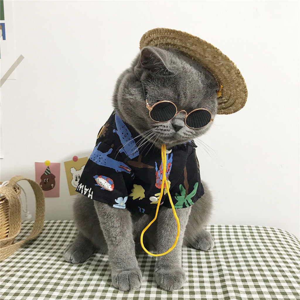 Cat clothes - Majestic Pet Kingdom