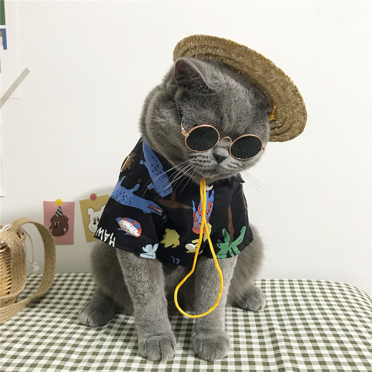 Cat clothes - Majestic Pet Kingdom