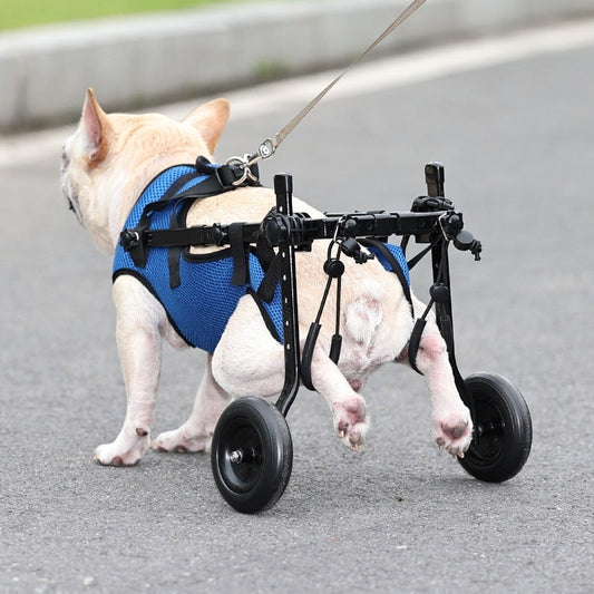 dog-wheelchair-adjustable-mobility-scooter-disabled-pets-luxury-view-1 | Majestic Pet Kingdom