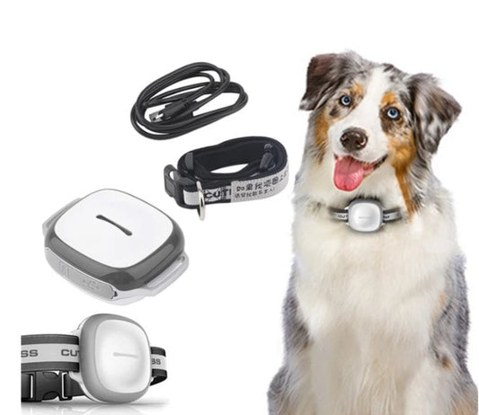 Dog GPS Tracker Smart Waterproof Location Collar Tag Device