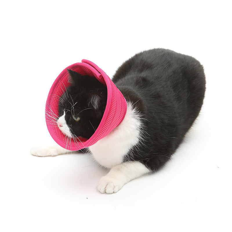 Luxury Pet Essentials - Purrfect Pet Kingdom™