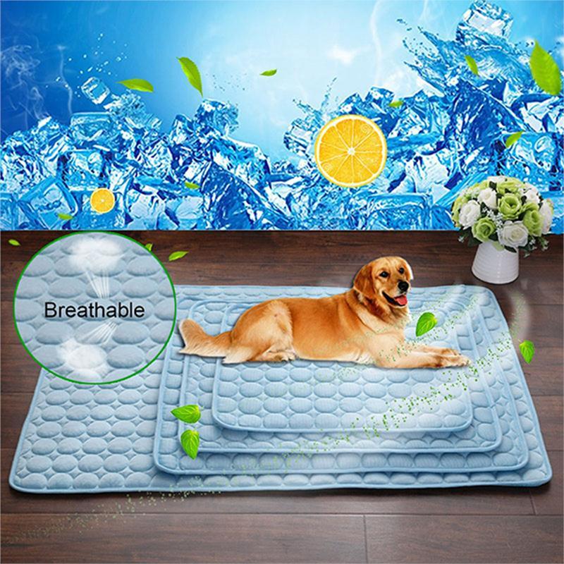Pet Product - Premium Pet Accessory