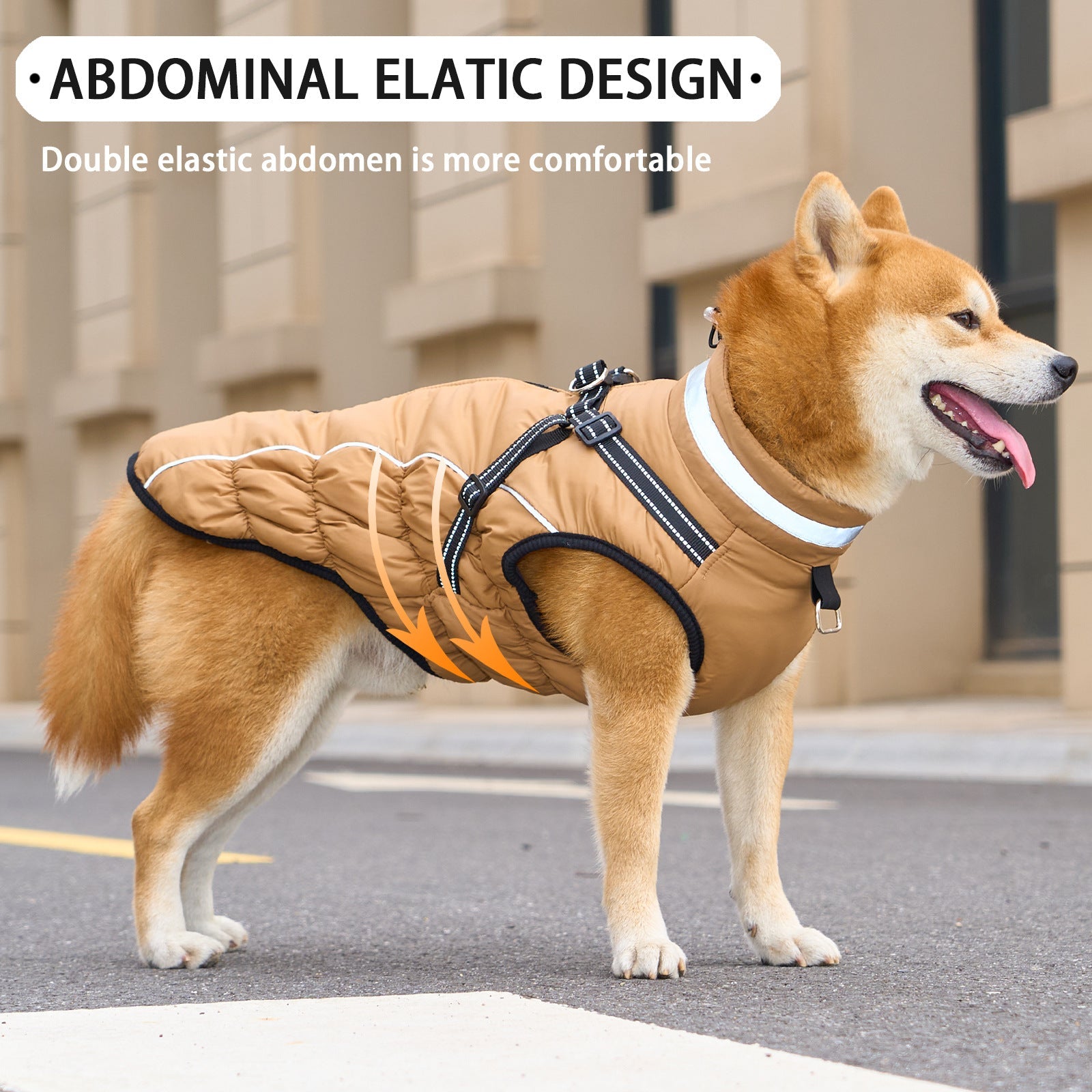 Pet Product - Premium Pet Accessory