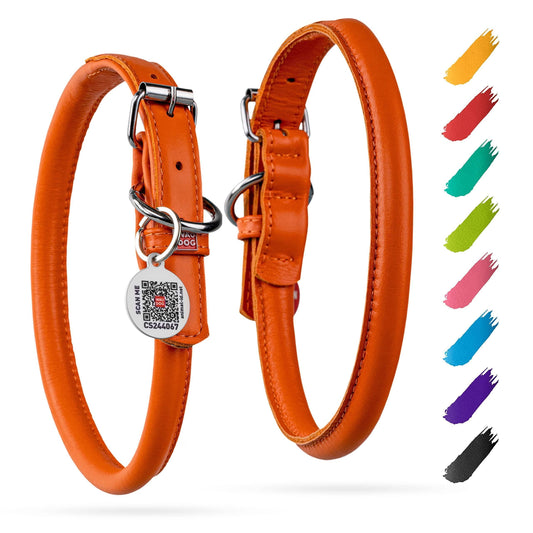 Rolled Leather Dog Collar Padded Small Dogs 13–16 in Neck Orange | Purrfect Pet Kingdom