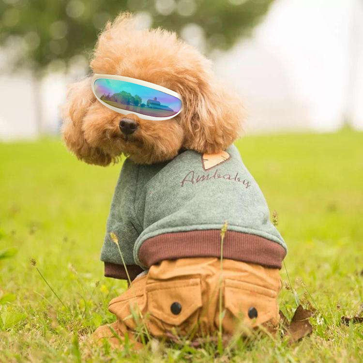 Luxury Pet Essentials - Purrfect Pet Kingdom™