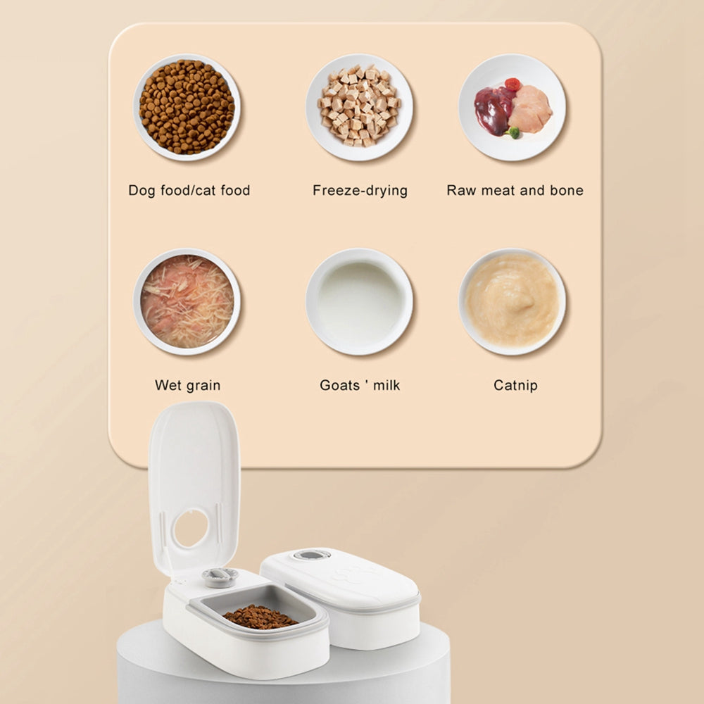 Automatic Pet Feeder Smart Food Dispenser For Cats Dogs Timer Stainless Steel Bowl Auto Dog Cat Pet Feeding Pets Supplies - Majestic Pet Kingdom