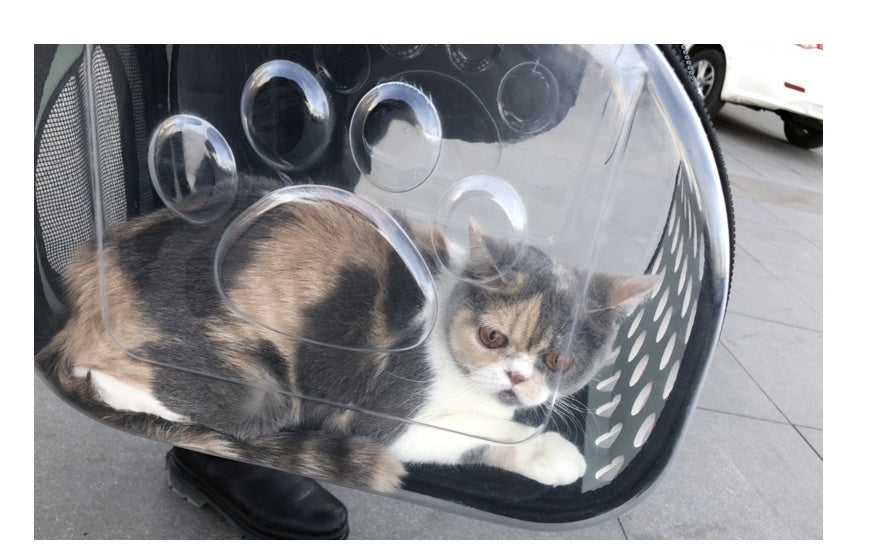 Bag out portable transparent cat dog backpack foldable four-sided breathable Messenger portable cat bag - Majestic Pet Kingdom