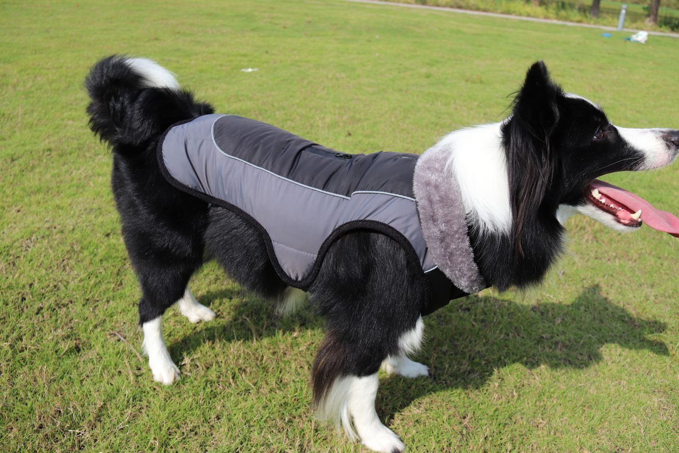 Thickened dog padded coat reflective dog clothing - Majestic Pet Kingdom