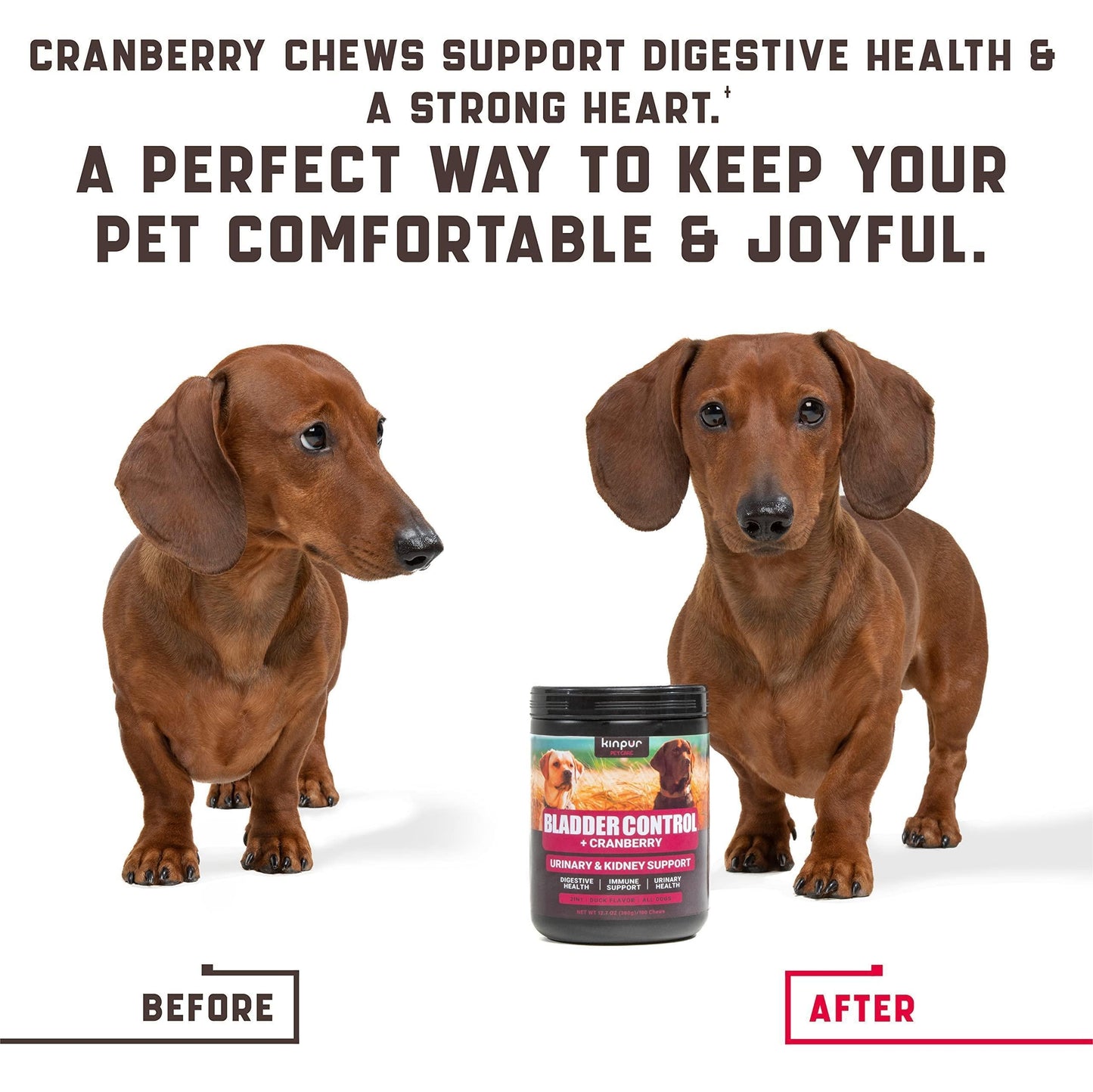 Cranberry Chews for Dogs - Urinary Tract Support 180ct