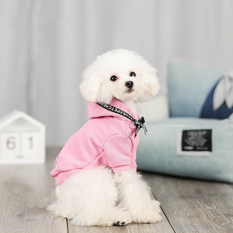 New pet clothing - Majestic Pet Kingdom