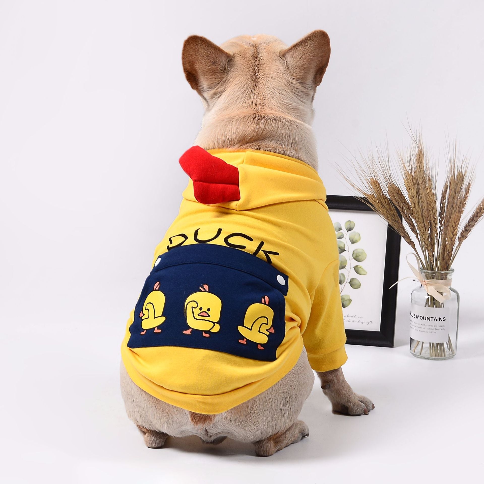 Pet dog clothes - Majestic Pet Kingdom