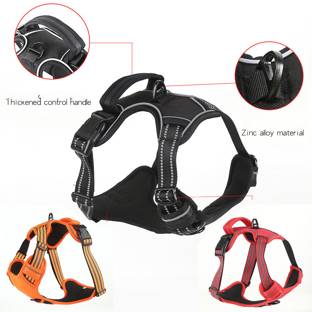 Luxury Pet Essentials - Purrfect Pet Kingdom™