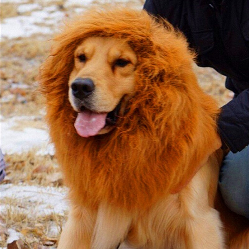 Luxury Pet Essentials - Purrfect Pet Kingdom™