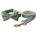 Adjustable Mint Green Dog Collar and Leash Set for Pets