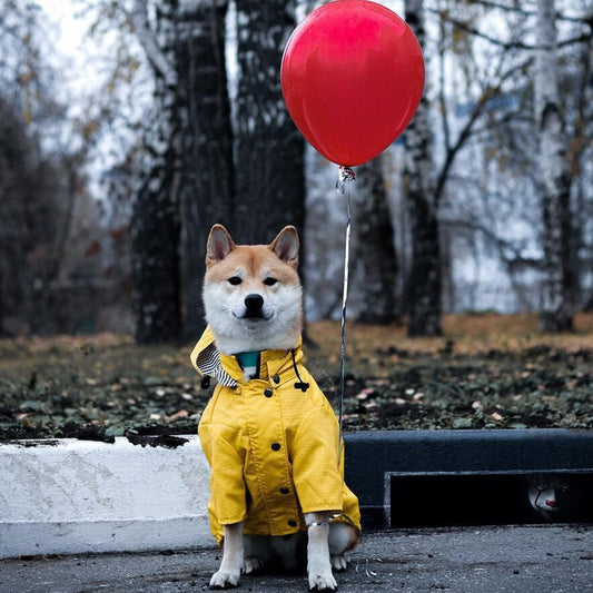 Dog Raincoat Pet Clothes Dog Clothes Rain Water - Majestic Pet Kingdom