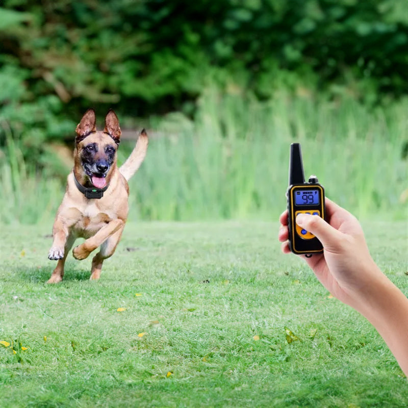 Dog training supplies - bark control device. The collar features electric shock and vibration for training. - Majestic Pet Kingdom