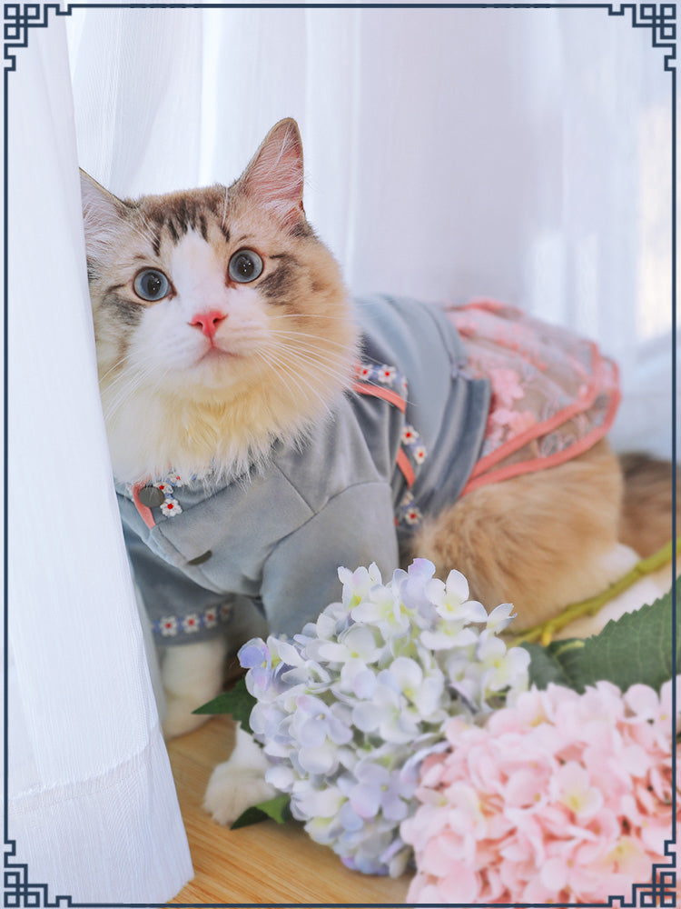 Pet cat clothes - Majestic Pet Kingdom