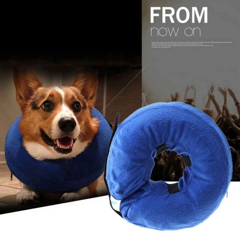 Luxury Pet Essentials - Purrfect Pet Kingdom™
