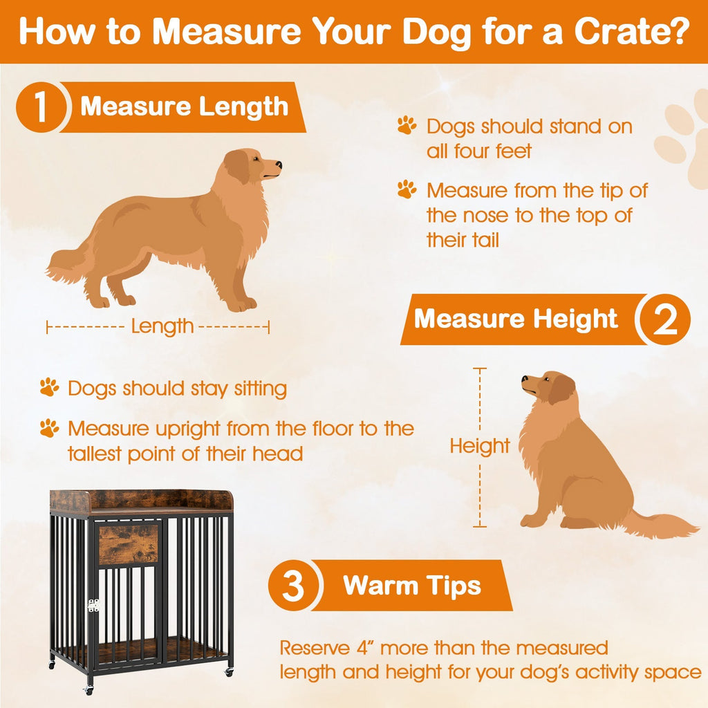 Pet Supply Product | The Finest Market