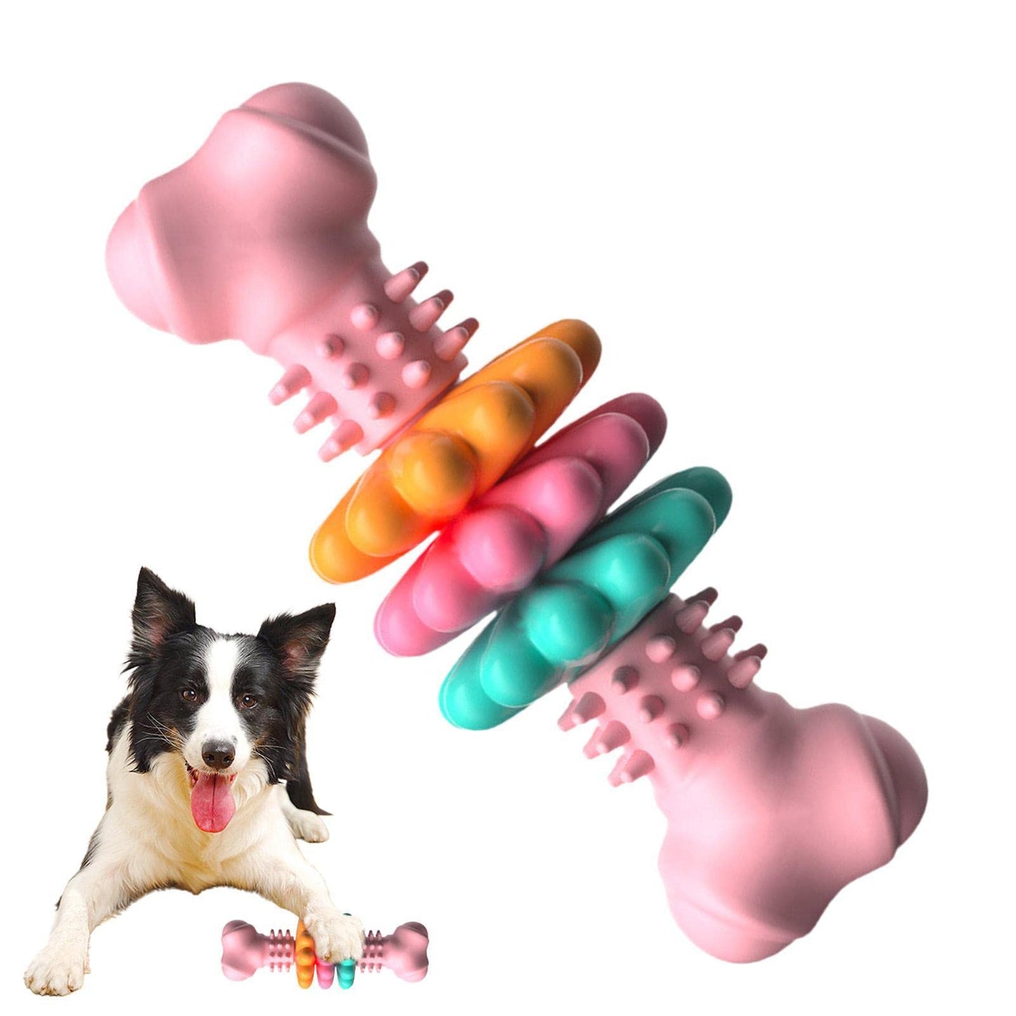 Dog Chew Toy TPR Rubber Bone Indestructible Dental Teething Play - Detail Angle 4 | Majestic Pet Kingdom