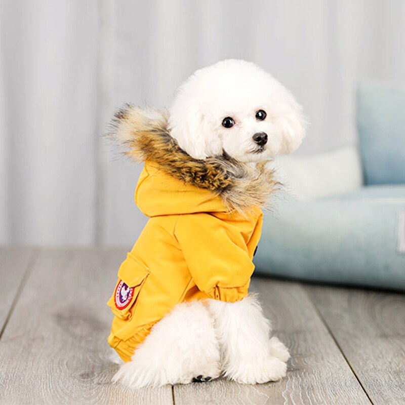 Pet dog clothes wool hat clothes cotton clothes - Majestic Pet Kingdom