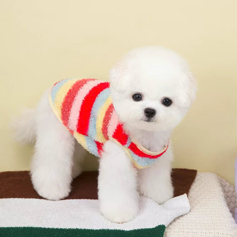 Dog Coat Cute Bear Label Two-Legged Winter Clothing