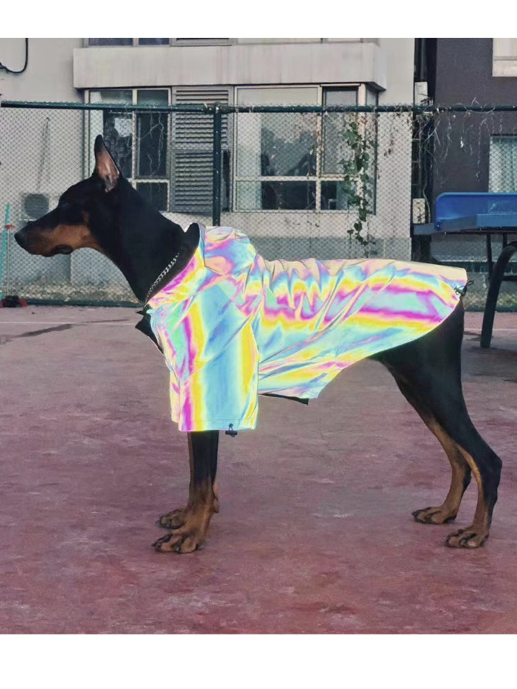Microcrystalline reflective dog clothes - Majestic Pet Kingdom