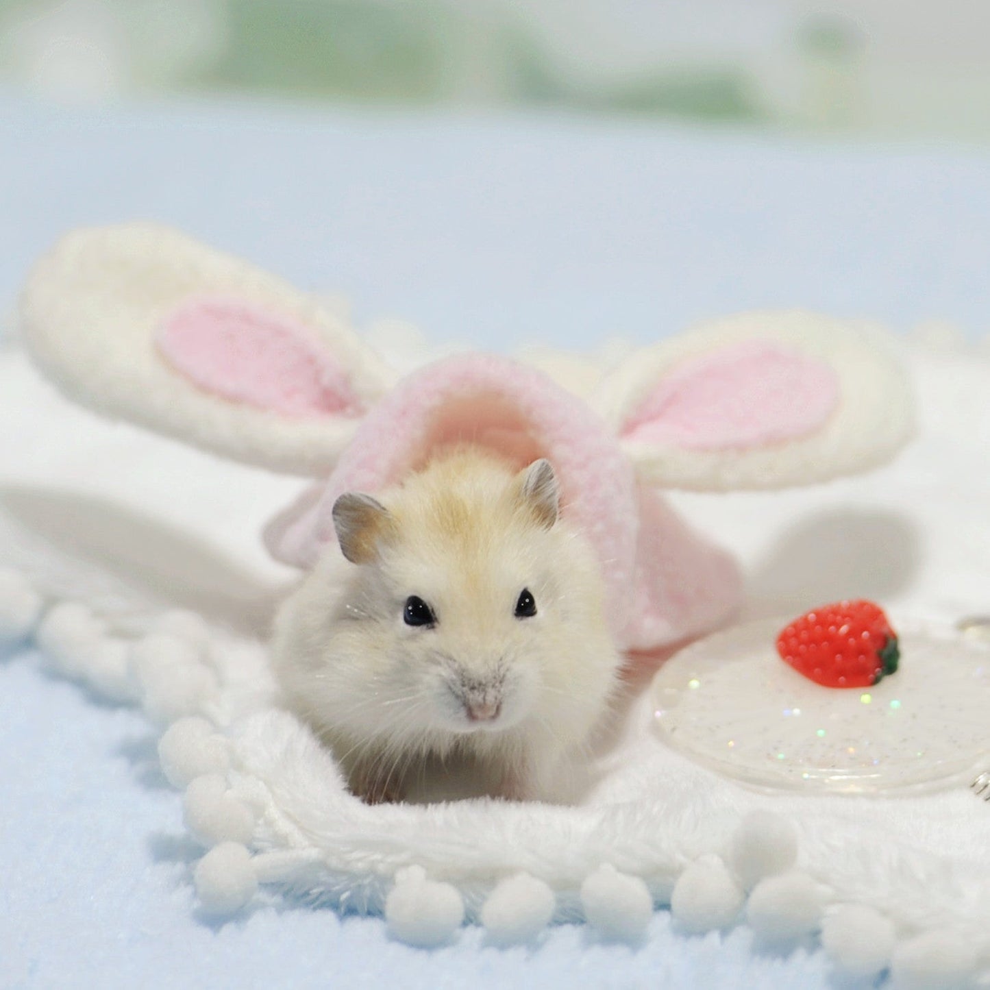 Pet hamster clothes - Majestic Pet Kingdom