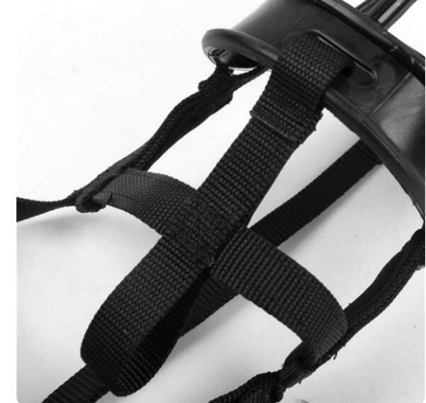 Luxury Pet Essentials - Purrfect Pet Kingdom™