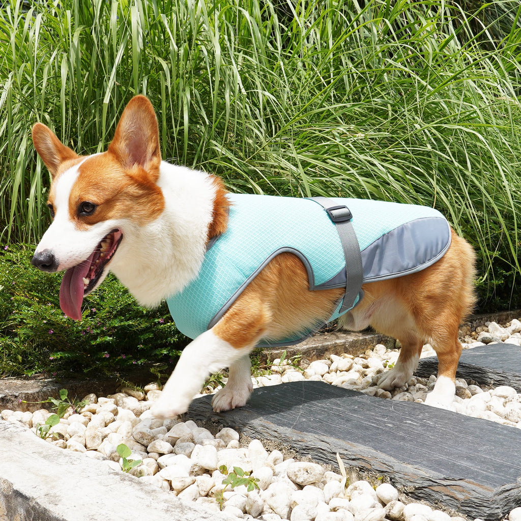 Pet Dog Cooling Summer Vest Apparel Clothing for Hot Heat - Majestic Pet Kingdom