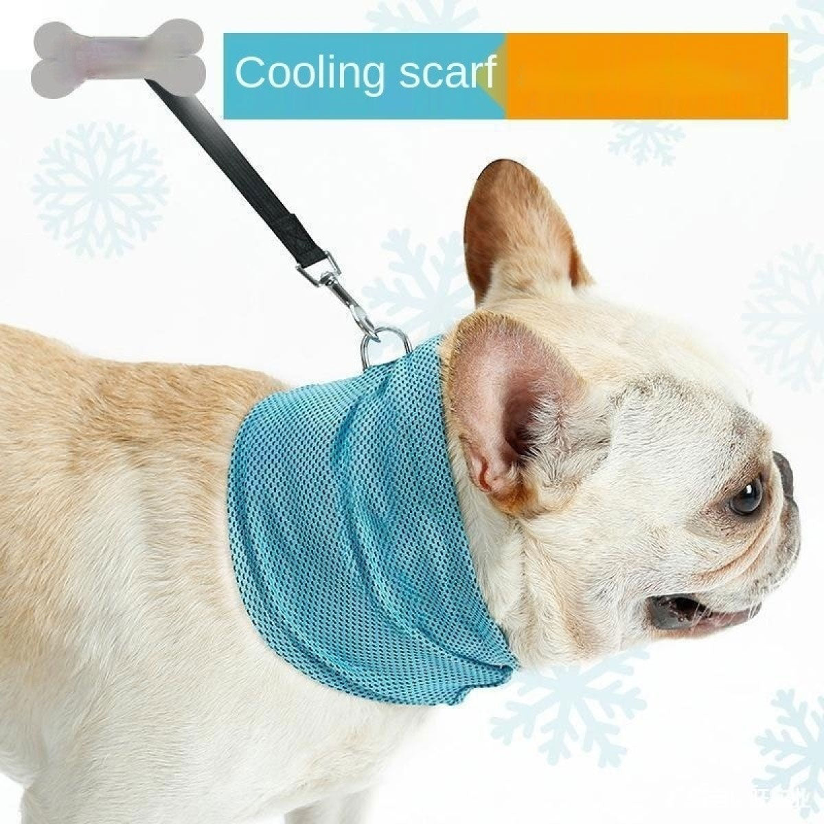 Luxury Pet Essentials - Purrfect Pet Kingdom™