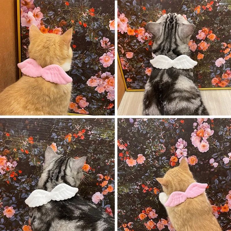Luxury Pet Essentials - Purrfect Pet Kingdom™