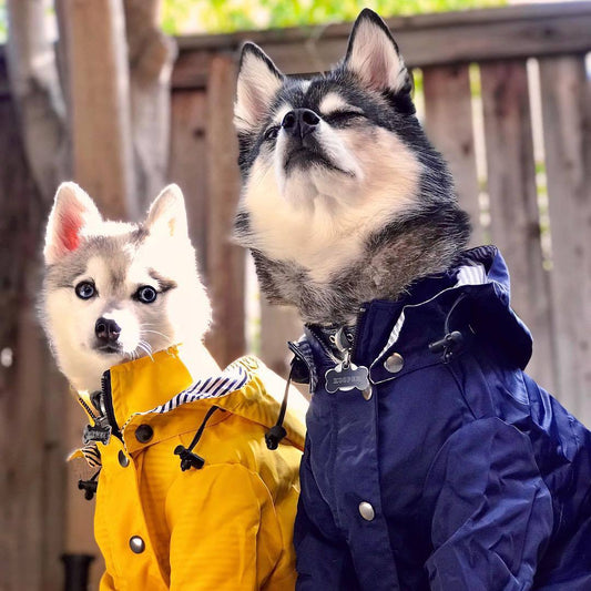 windproof-rainproof-british-retro-thick-dog-raincoat-dog-pet-submachine-jacket-luxury-view-1 | Majestic Pet Kingdom