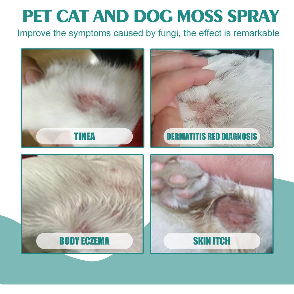 Pet Skin Care Spray: Mite Relief & Anti-Itch Treatment
