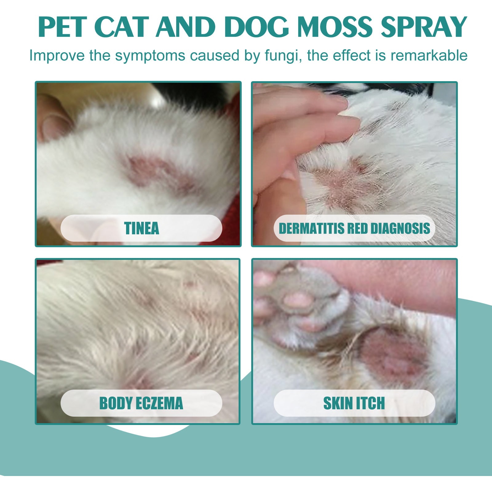 Pet Skin Care Spray: Mite Relief & Anti-Itch Treatment