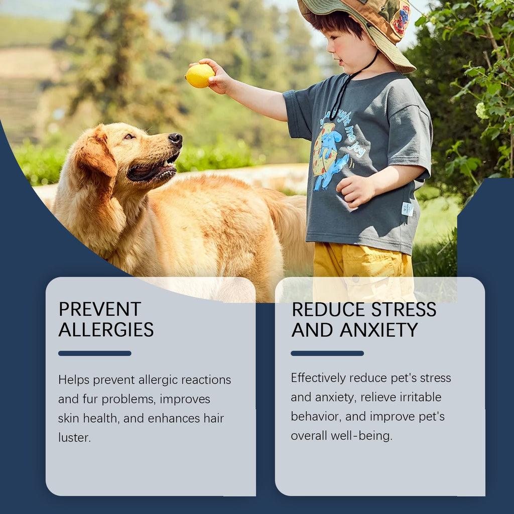 Dog Immune Support Supplement: Daily Health Booster