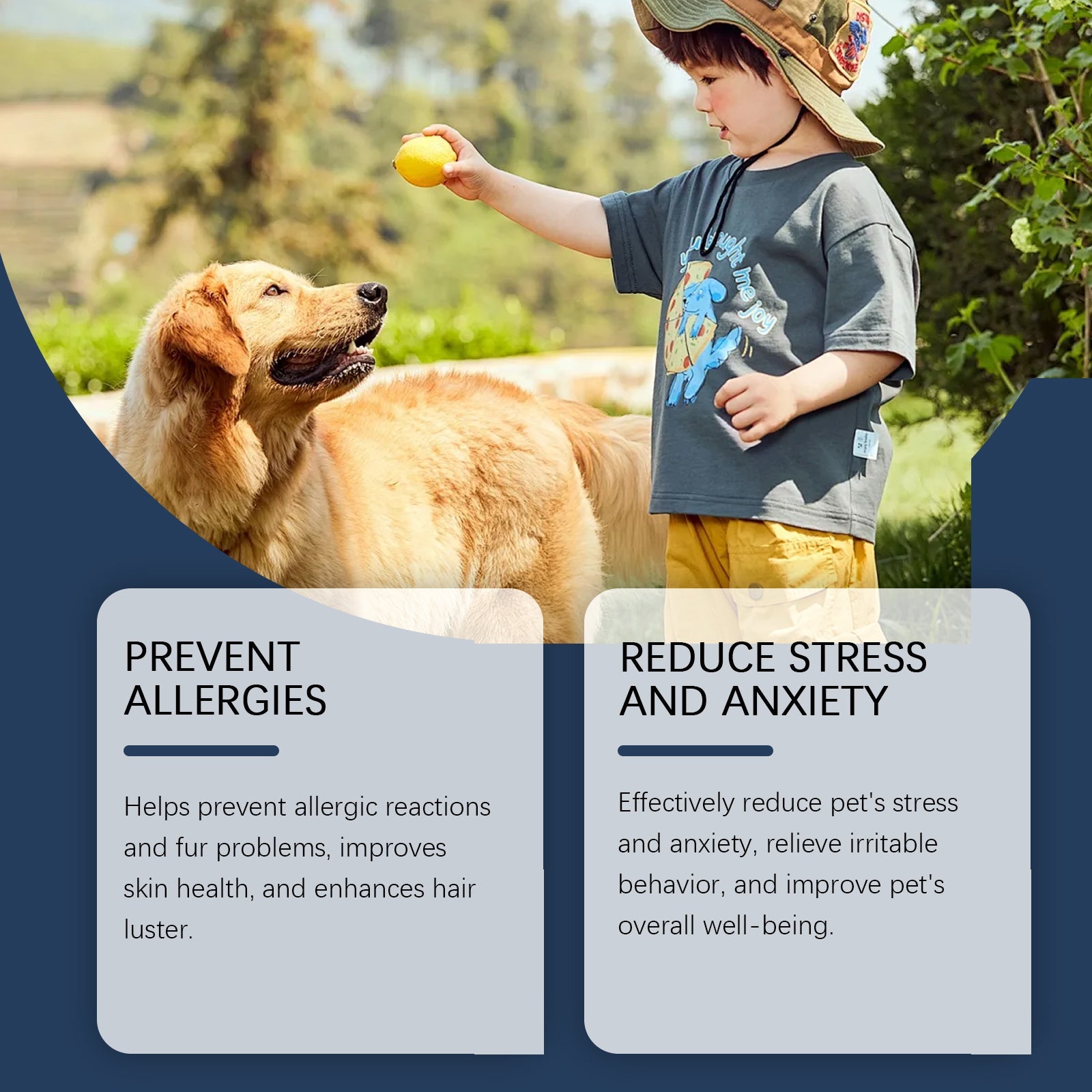 Dog Immune Support Supplement: Daily Health Booster