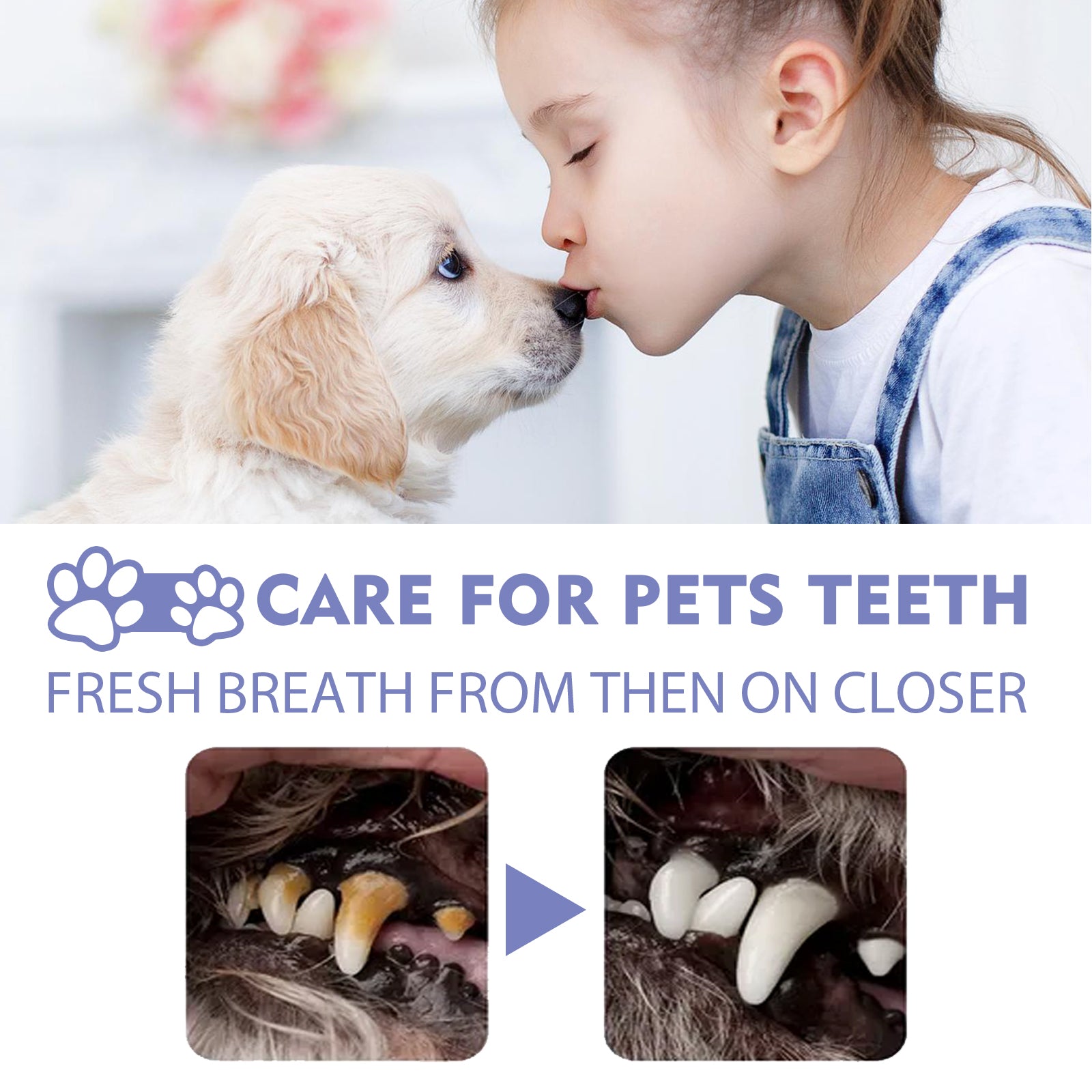 Dog & Cat Tooth Cleaning Spray: Pet Mouth Deodorizing Spray