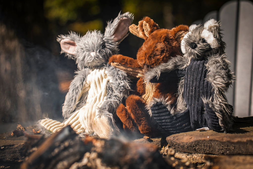 Pet Supply Product | The Finest Market