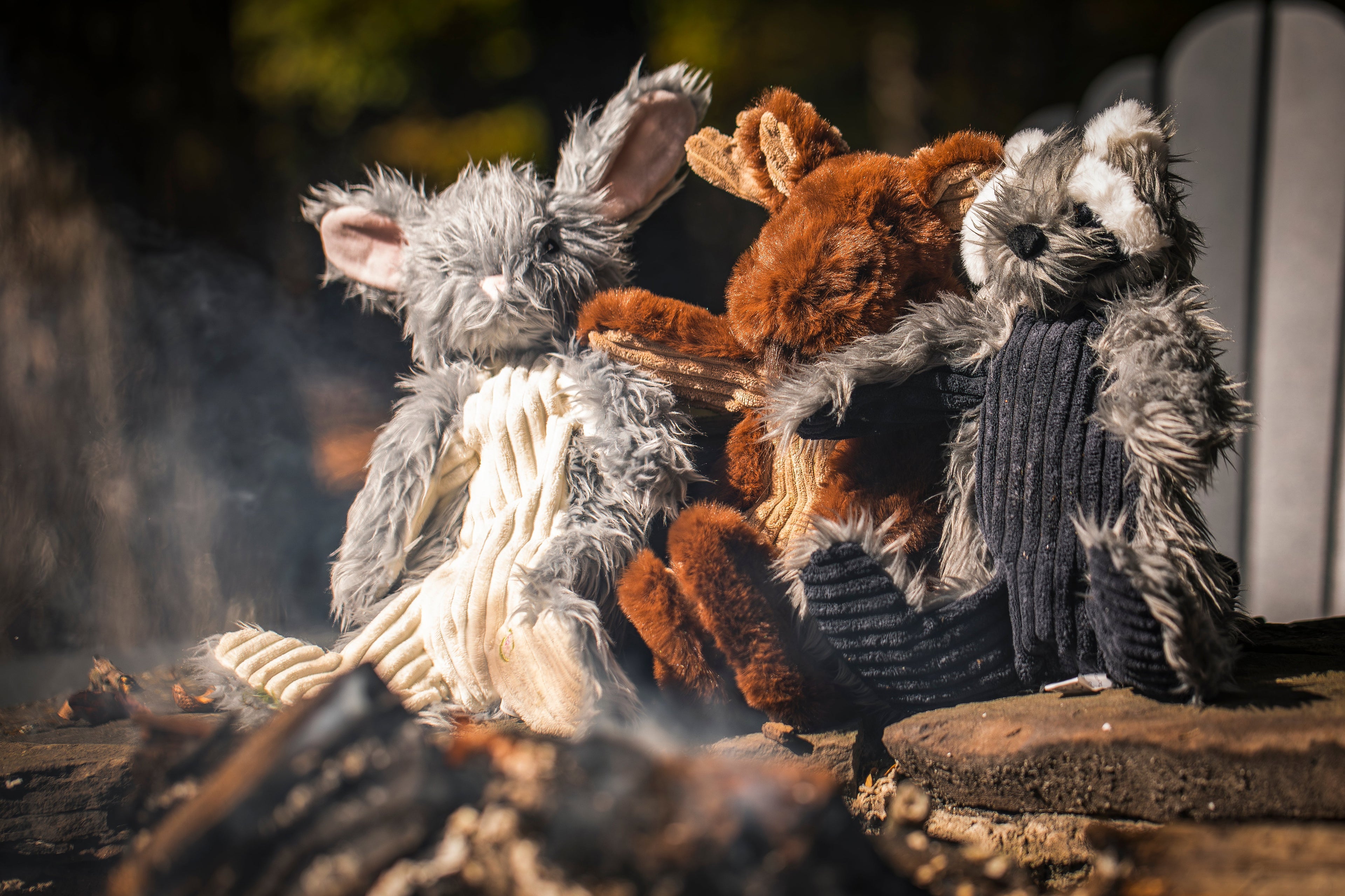 Pet Supply Product | The Finest Market
