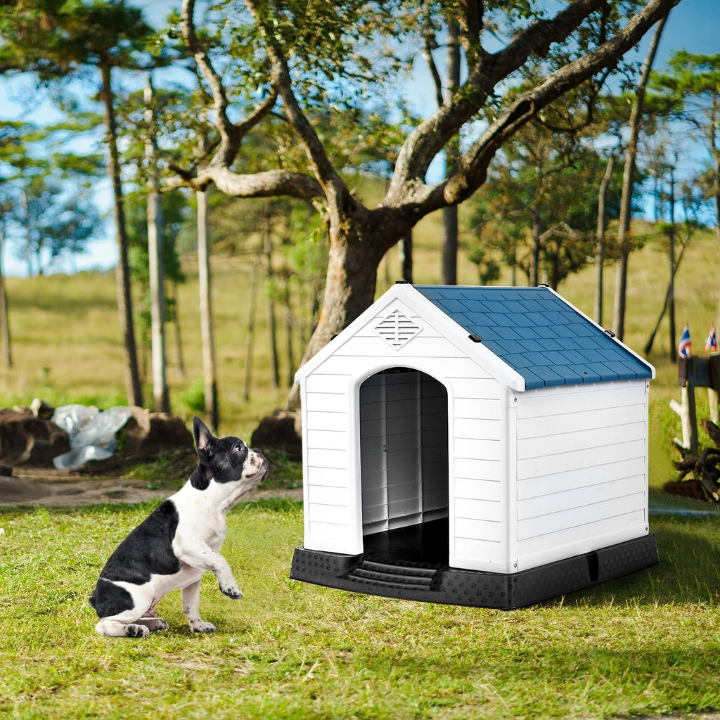 Pet Supply Product | The Finest Market