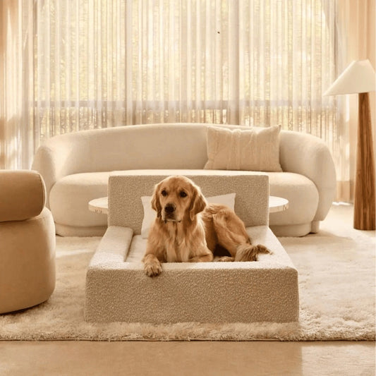 Movable Sponge Pet Sofa Mat & Dog Bed